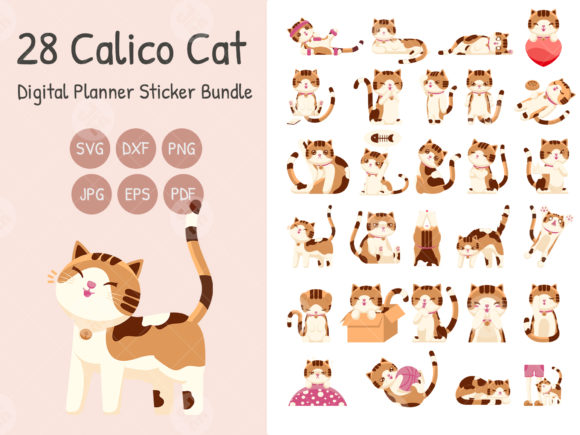 Cute Calico Cat Graphics & Illustrations