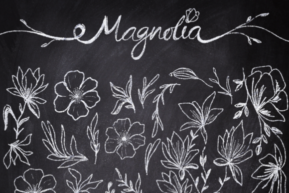 Magnolia Chalk Collection: Graphics & Illustrations for Branding